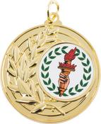 45mm Polished Gold Medal
