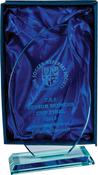 25.5cm GLASS SHAPE / BOX image