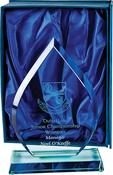 A7210-122 18.5cm GLASS SHAPE