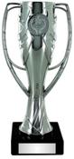 27cm Silver Plastic Cup Trophy (V221S) image