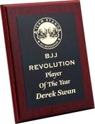 D919-27 Brass Plate / Plaque