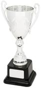 F488-119 SPECIAL AWARDS image