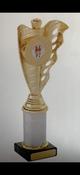 F771-95 26cm AWARD image