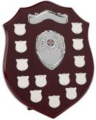 H289-33 PERPETUAL SHIELD 30.5cm image