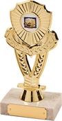 H433-78 Gold Trophy