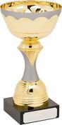 H843-104 Gold/Matt Silver Trophy image