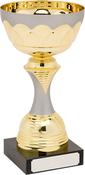 H844-104 Gold/Matt Silver Trophy image