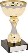 H845-104 Gold/Matt Silver Trophy image