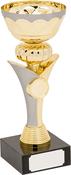 H866-104 Gold / Matt Silver Trophy image