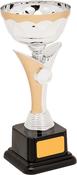 H890-110 Silver / Matt Gold