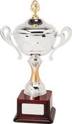 H893-110 42.5cm Quality Presentation Cups image