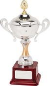 H894-110 38cm Quality Presentation Cup image
