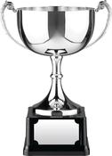 12.5cm Swatkins Replica Nickle Plated Cup image