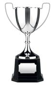 17.5cm Swatkins Replica Nickle Plated Cup image