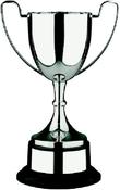 35cm Swatkins Nickel Plated Cup &amp;amp; Black Base image