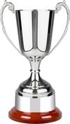 43cm Formula Nickle Cup on Wood