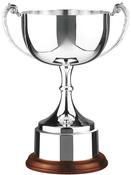 31cm Swatkins Cup with Wood Plinth &amp;amp; Band image