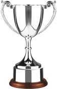 31cm Swatkins Cup with Wood Plinth &amp;amp; Band image