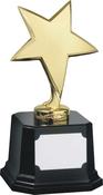 STAR AWARD 22cm AD027G image