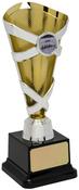 F357 Silver and Gold Trophy 19.5cm