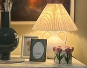 NEW Luna Lamp