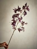 Purple Maple Stem, Artificial Flowers