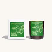 You Are Safe to Slow Down | Crushed Lemon Leaves &amp; Cotton Soy Candle image
