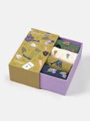 Womens Autumn Havest Organic Cotton Box of 4 Socks image