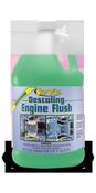 DESCALING MOTOR FLUSH 1 GALLON