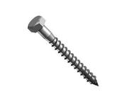 Stainless Steel Coach Screws image