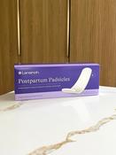 Lansinoh Postpartum Padsicles