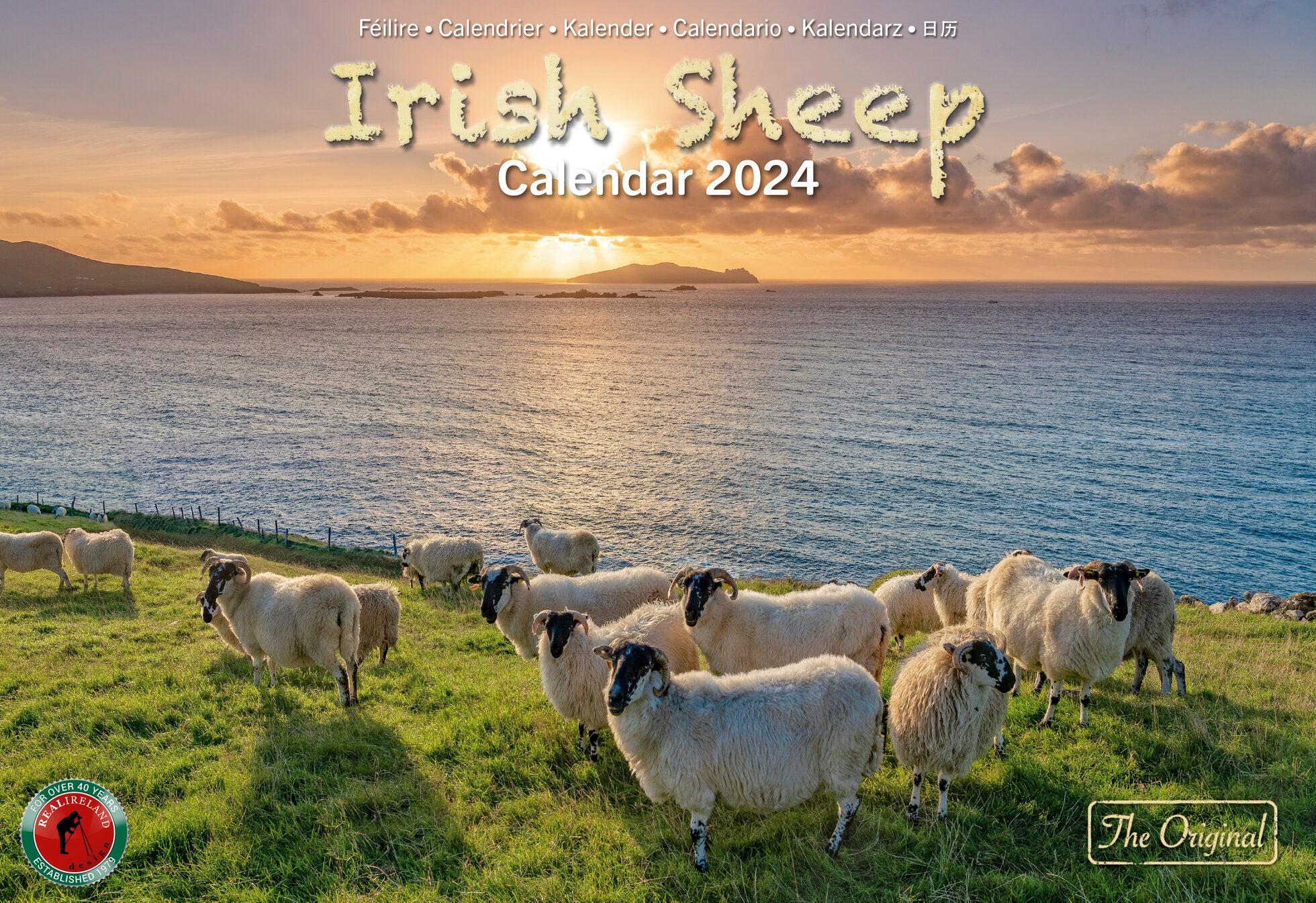 Real Ireland A4 Calendar 2024 Irish Sheep in Cork GetLocal Ireland