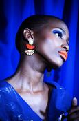 Shock of Grey Earrings - Jenny Fan Earrings image