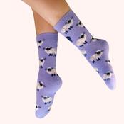 Powder Fuzzy Socks - Sheep image