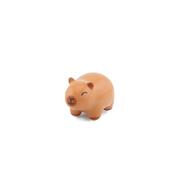 Sass &amp; Belle Token - Capybara