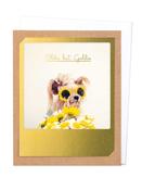 Pickmotion Photo-Card - Oldie But Goldie