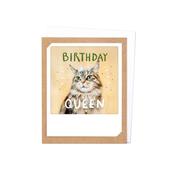 Pickmotion Photo-Card - Birthday Queen Cat