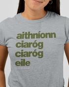 Fukil T Shirt - Aithníonn ciaróg (Olive on Grey Marle) image