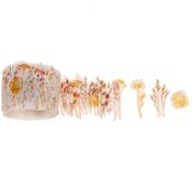 Paper Poetry Washi Tape - Dried Flowers