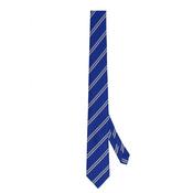 Junior Self Tie Blue Stripe