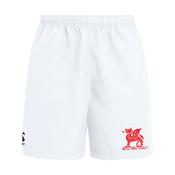 Wesley College Boys PE/Hockey Shorts (White) image