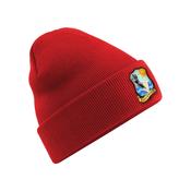 Colaiste Na Riochta Beanie image