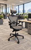 Herman Miller Remastered Aeron (Size B) with Headrest image