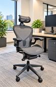 Herman Miller Aeron (Remastered) with Headrest