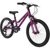 Ridgeback Harmony 20" 2021 image