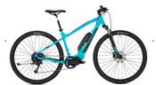 Ridgeback X2 2021 image