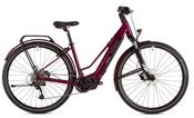 Ridgeback Advance 2W image