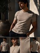 Men's Casual Round Neck  Cotton T-Shirt (2204) Taupe image