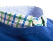 Mens Oxford Cotton Long Sleeve Check Shirt (2284 Mushy Pea) green blue white - by Vedoneire of Ireland