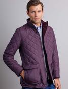 Mens Quilted Padded Jacket (3186 Purple)